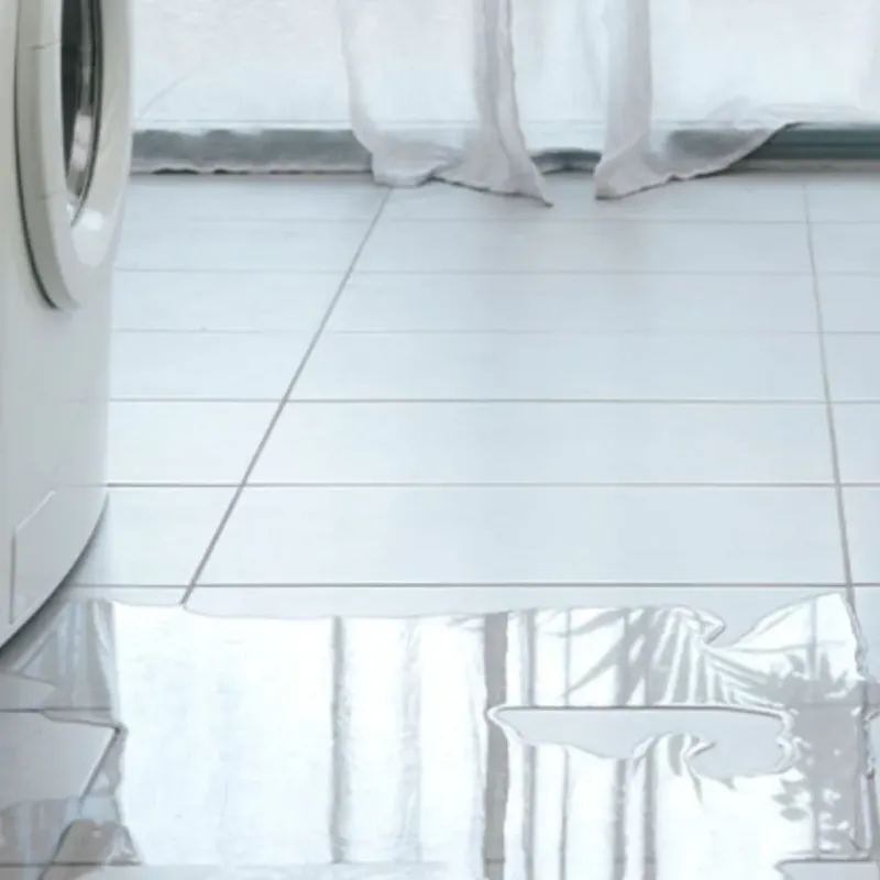 Appliance Leak Cleanup in Verona, VA