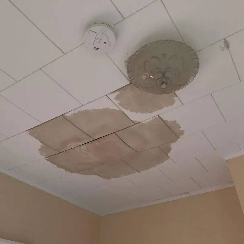 Ceiling Water Damage Repair in Verona, VA